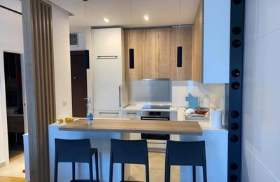 Location d’un appartement spacieux de 2 pièces, 50 m², Vračar, Belgrade, Serbie